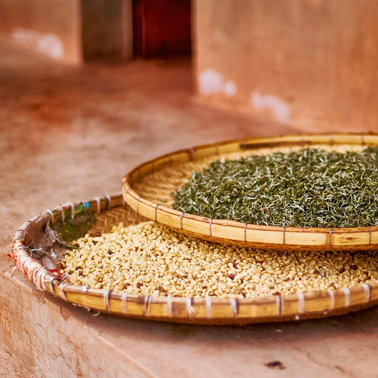 【SOLD OUT】桃李成蹊/ China Yunnan Sky Villa Farm Natural Double Fermentation 2023| 150g & 300g