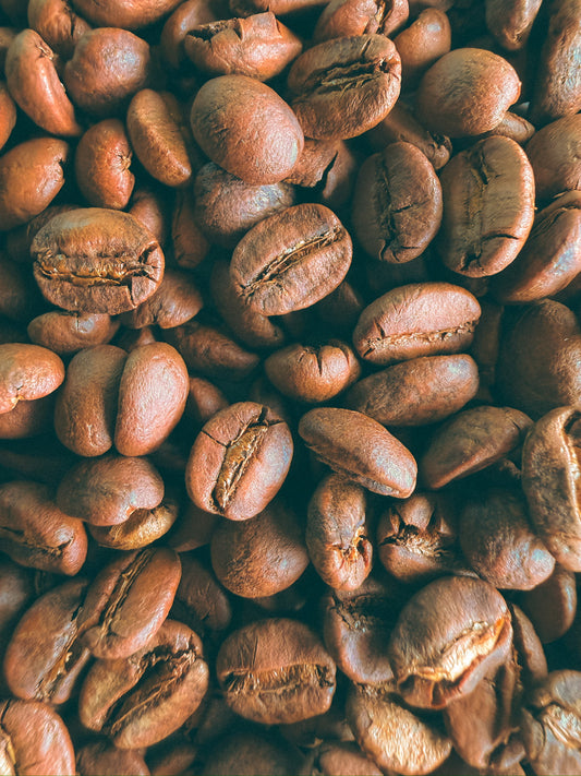 Yemen Mocha Haraz Farmers Gift | 100g