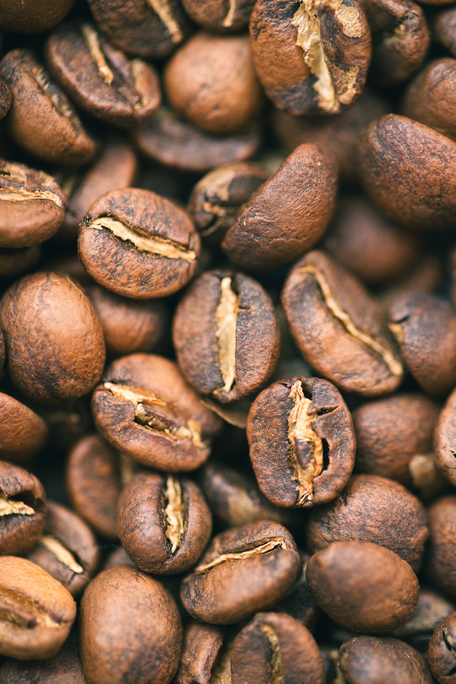 Photo of Ecuador Micro Lot Sidra Anaerobic Washed | 100g