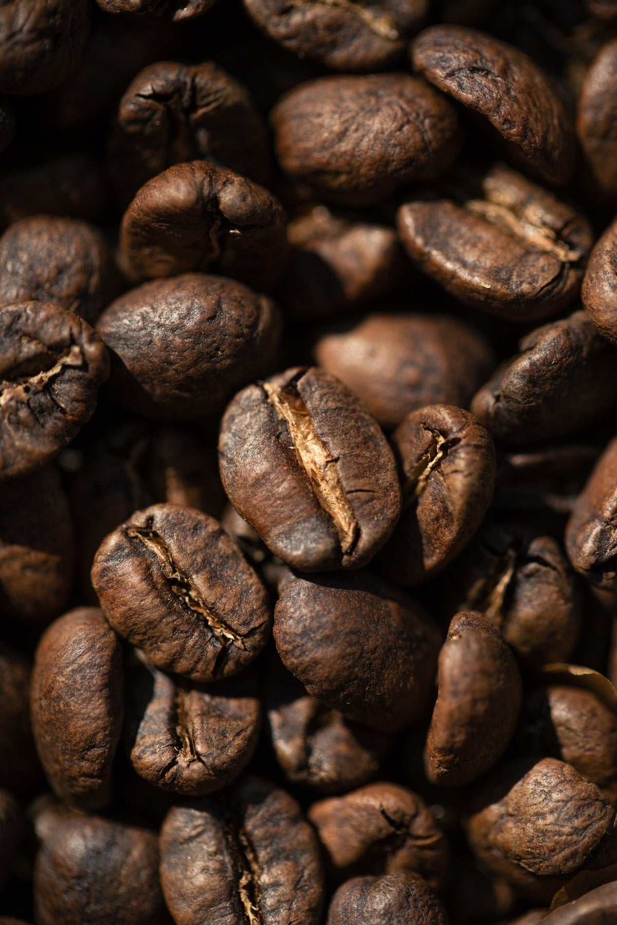 Photo of Zambia Mount Sunzu Washed AA | 100g